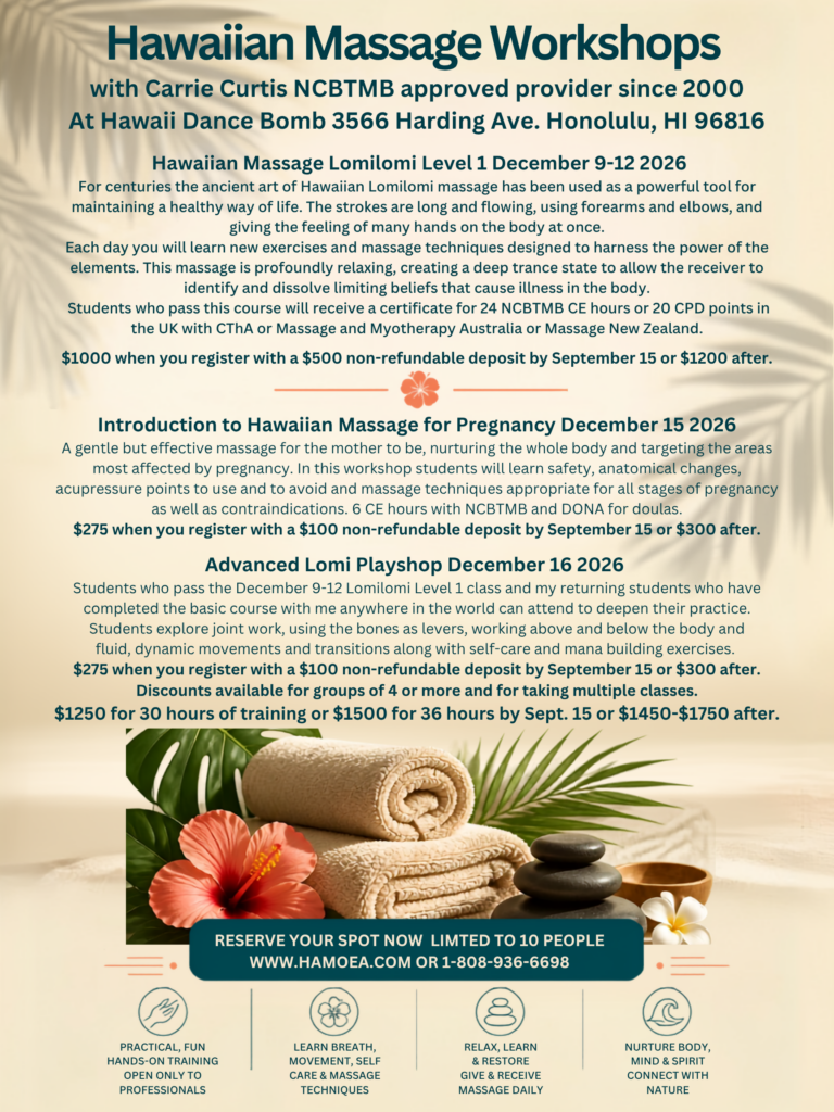 December26workshops (Poster (US))-2